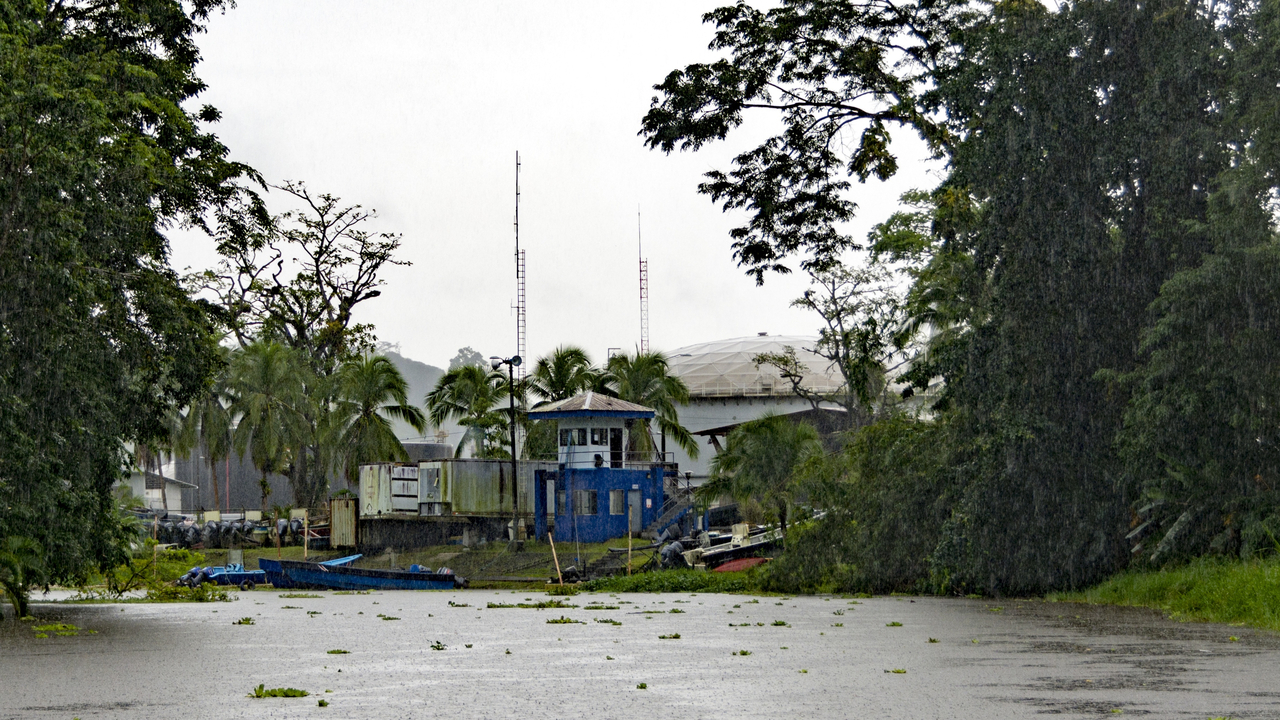 20171230 007   Tortuguero National Park, Puerto Limon, Limon, Costa Rica